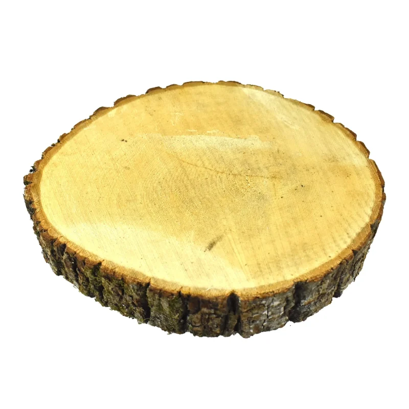 12 inch natural basswood disk