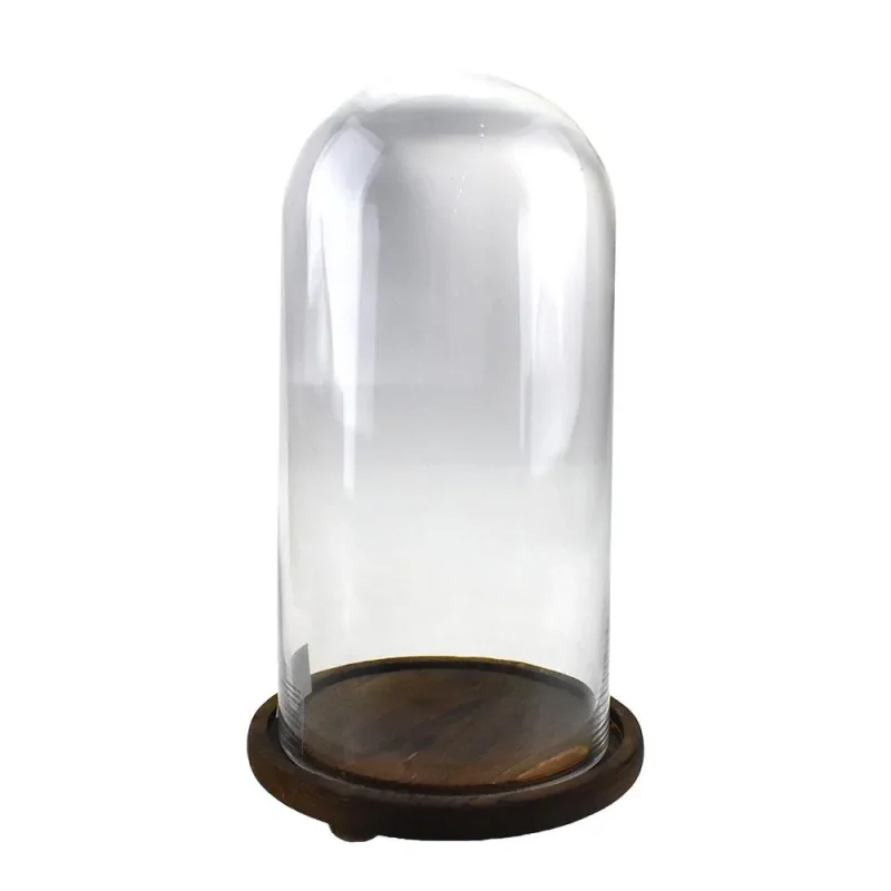 13 inch glass dome with wooden base