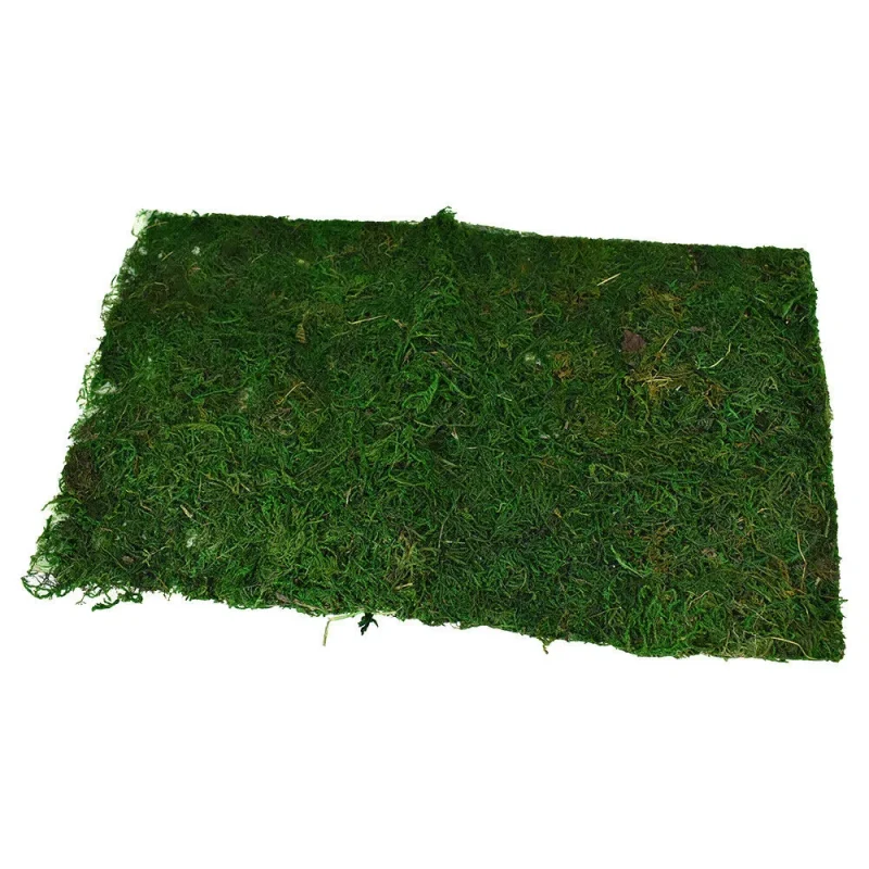 18 inch natural moss mat