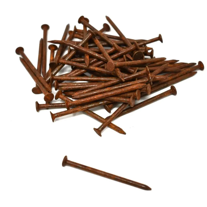 2 inch rustic arts craft nails 61 piece set