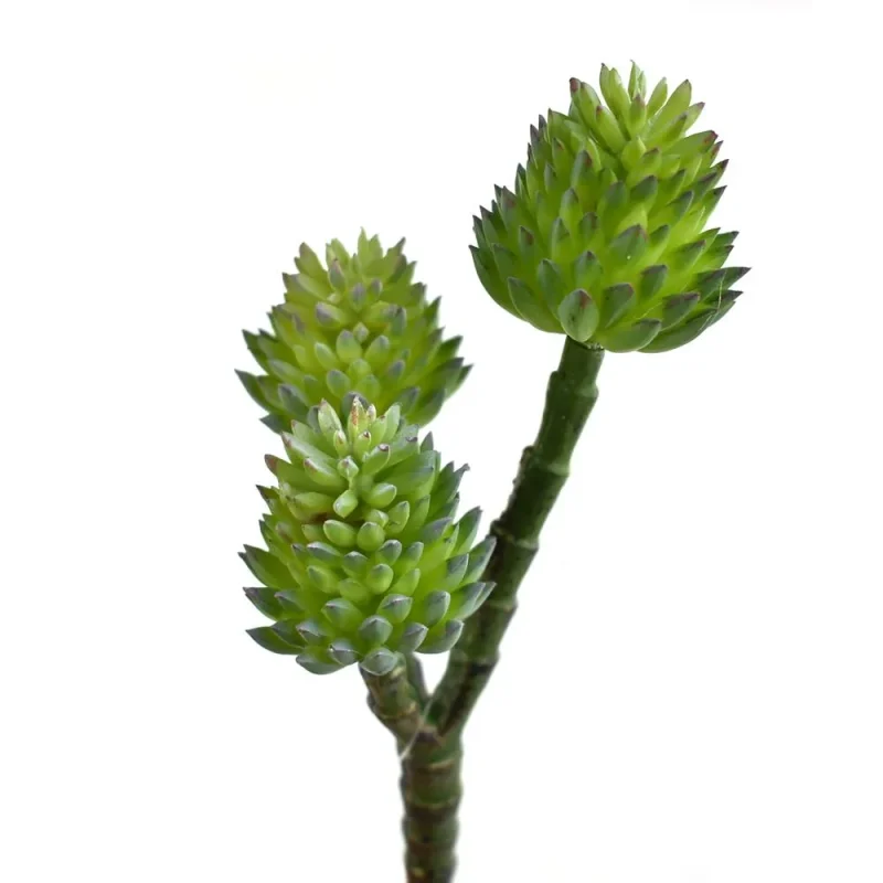 3 branch artificial succulent set dark green 7 5 inch