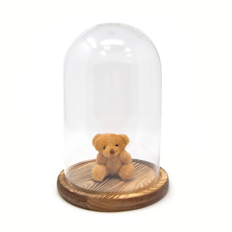 8 inch clear glass dome on wooden base display