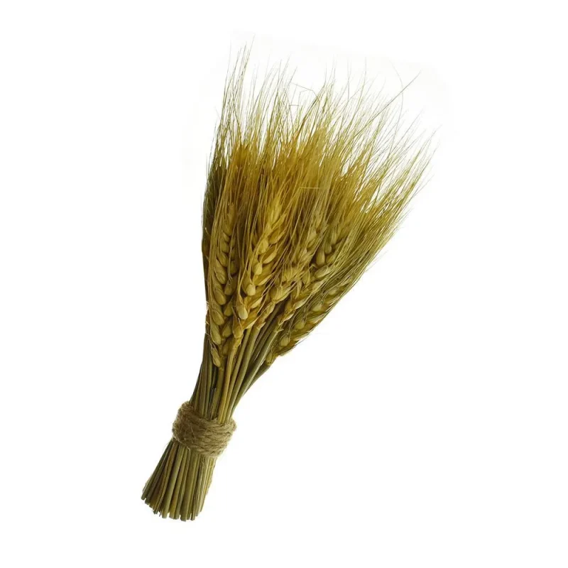 8 inch preserved wheat bundle