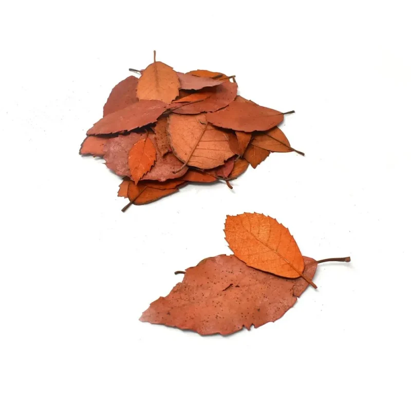 autumn leaves bowl filler orange 4oz