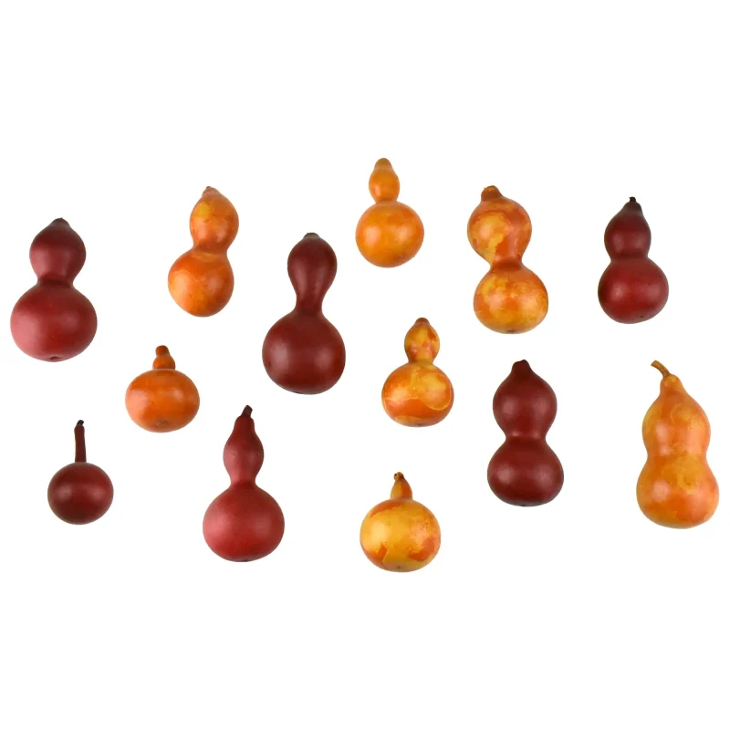 bagged bottle gourd decor 12 piece set assorted sizes