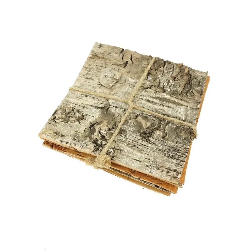 birch bark bundles 4 3 4 x 6 pack square design