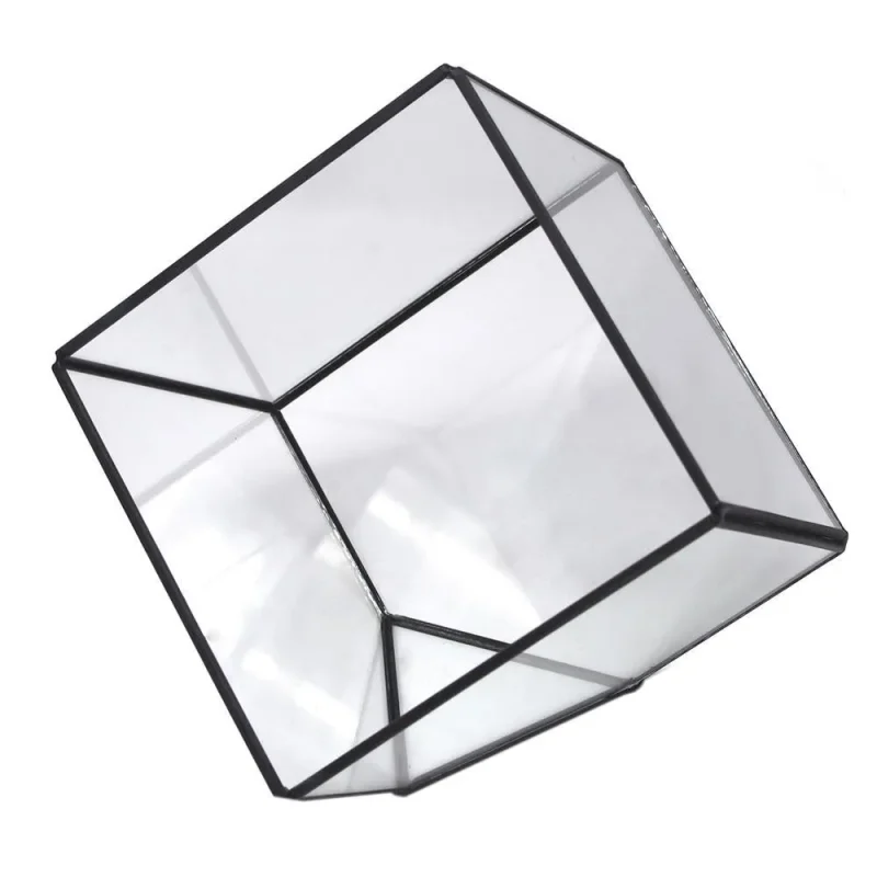 black geometric glass cube terrarium 6 inch tilted display