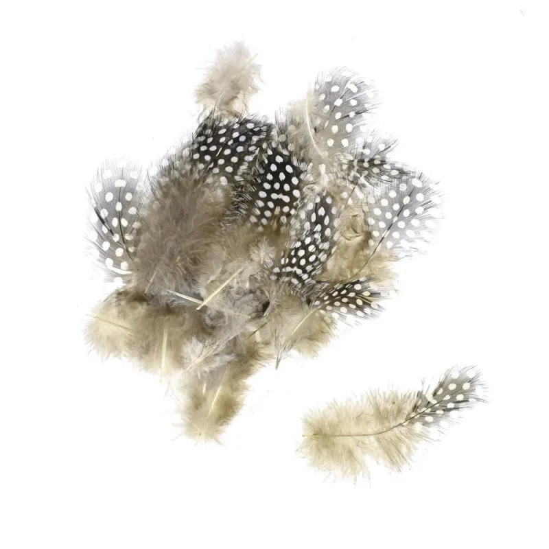 brown polka dot tipped feathers 16 pack