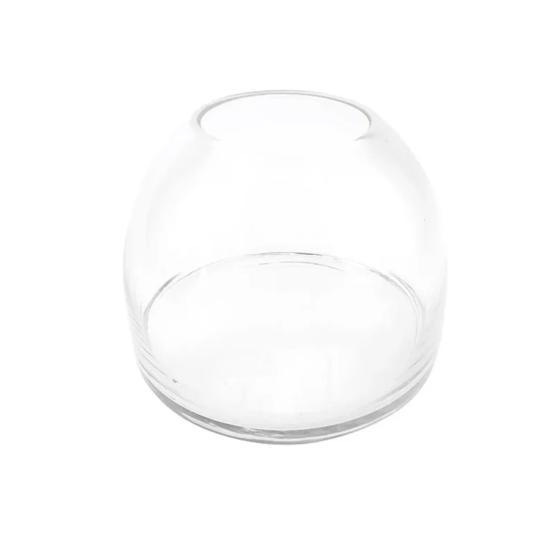 clear glass dome terrarium 7 3 4 inch