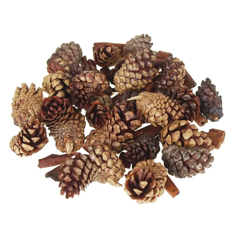 dried pine cones 30 pack natural scented decor