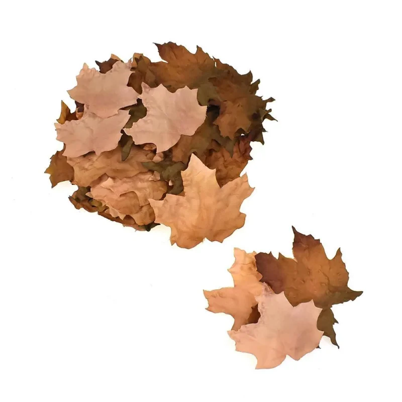 fall maple leaves brown assorted sizes 45 piece