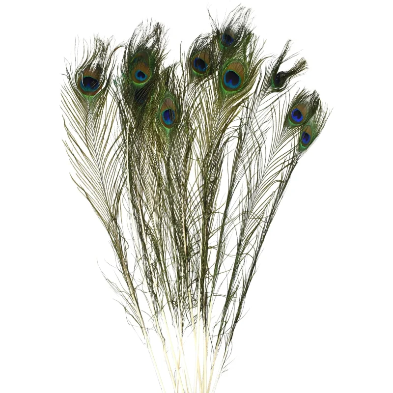 faux peacock feather decor set 30 x 12pcs