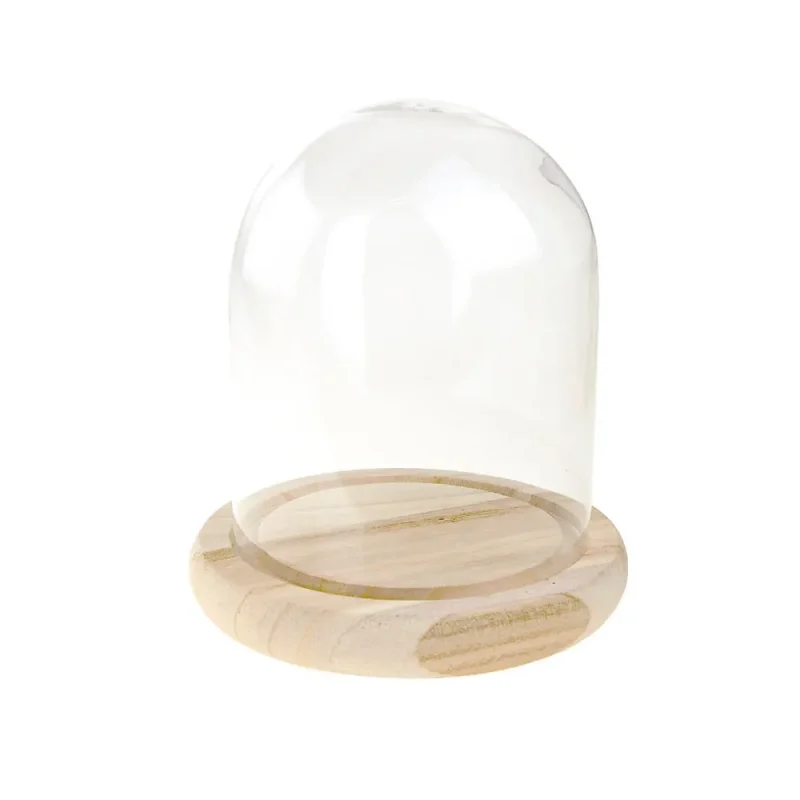 glass dome display with wooden base 5 3 4 inch