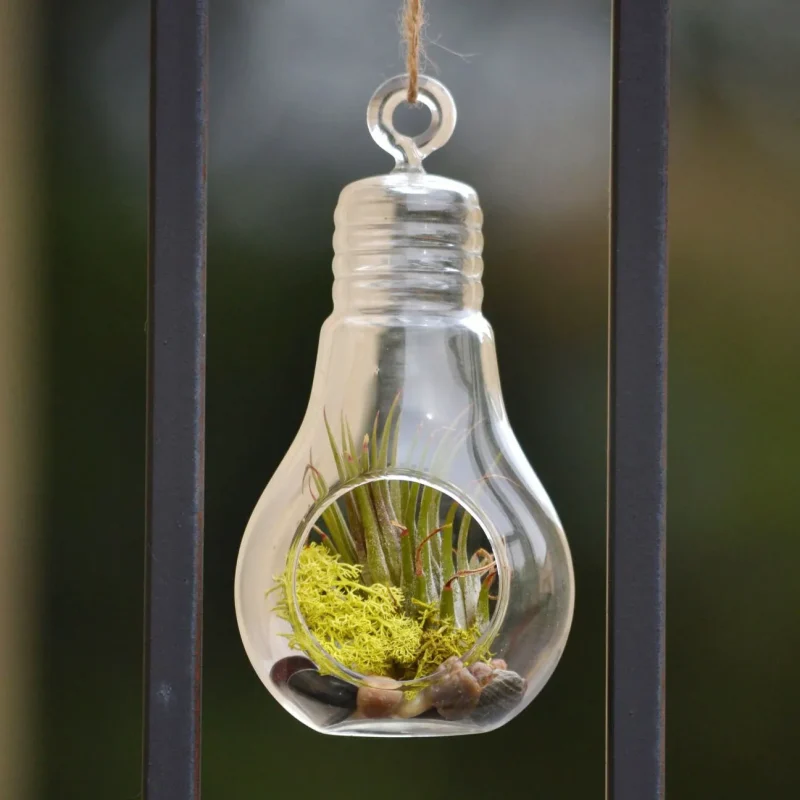 glass hanging terrarium air plant holder candle sconce 10