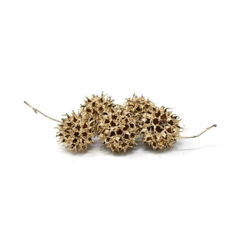 gold leaf sweet gum balls 5 piece set