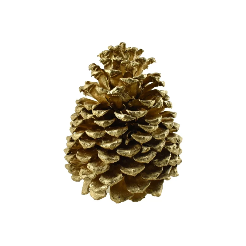 golden dried jeffrey pine cone