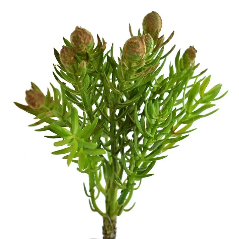 green 7 inch artificial succulent pick