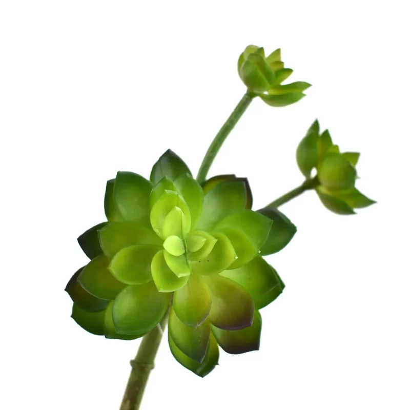 green 9 inch artificial echeveria succulent stem