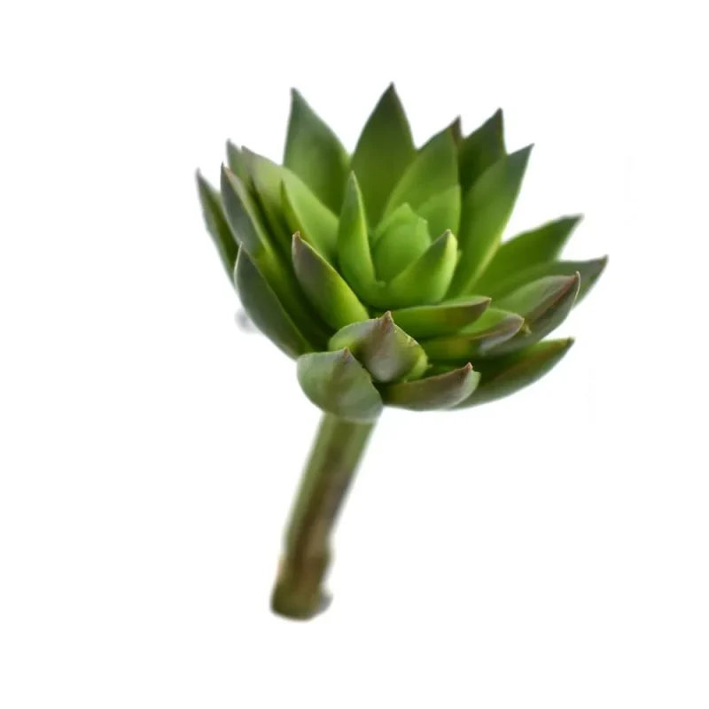 green artificial echeveria succulent stem 5 inch