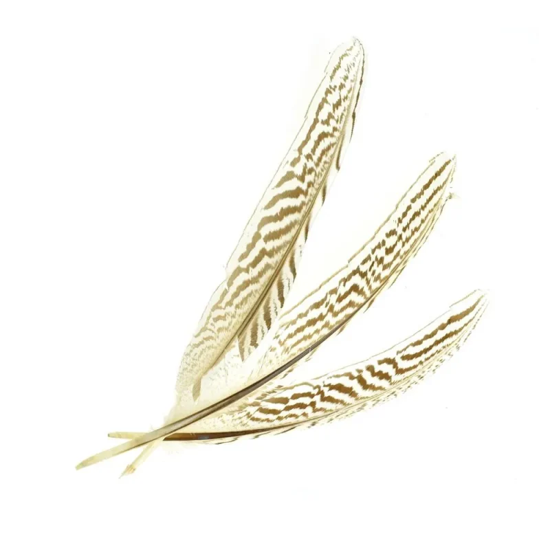 ivory striped quill feathers long loose 3 pack