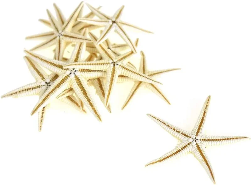 mini nautical starfish fingertips 12 pack