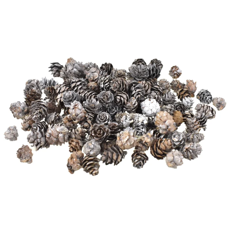 mini pine cone assortment 1 lb bulk pack