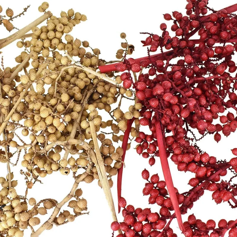 natural dried canella berries pack