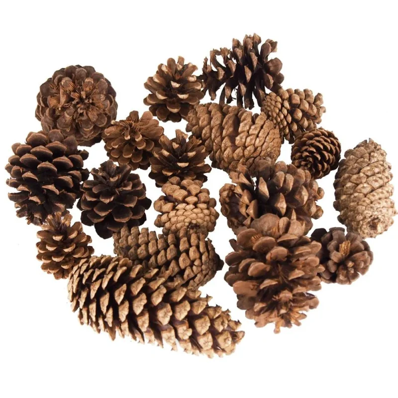 natural dried scented pine cones 12 oz