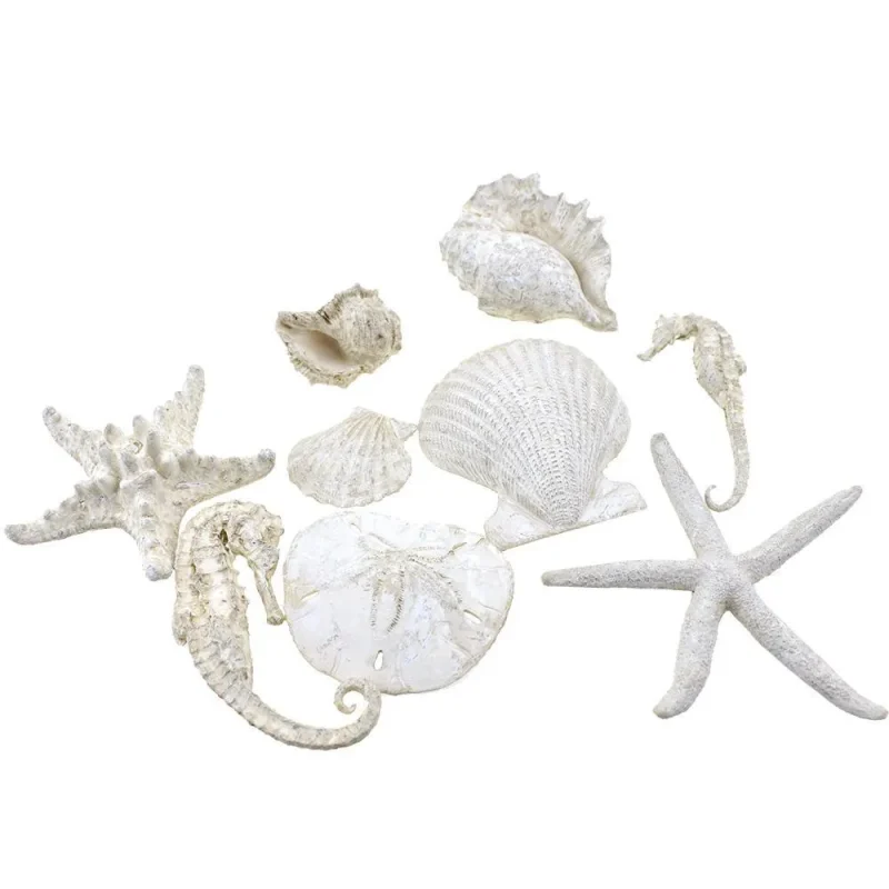 seashells starfish 5 inch home decor accents