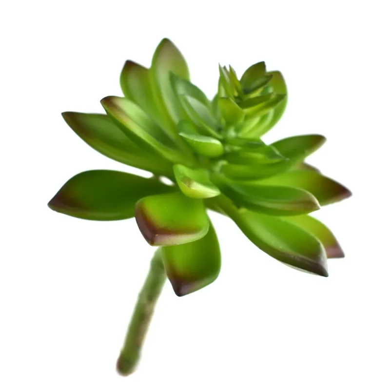 silk prince succulent 6 5 inch realistic artificial plant