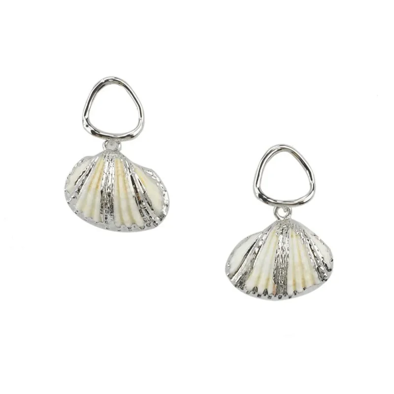 silver striped seashell earrings 1 25 inch