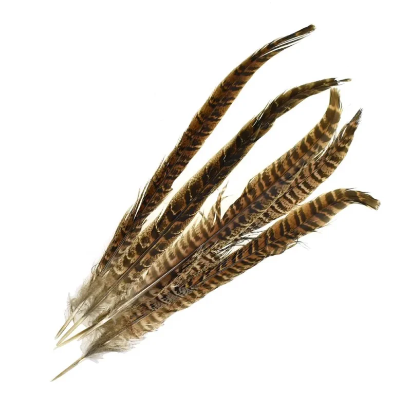 striped quill feathers brown pack of 5