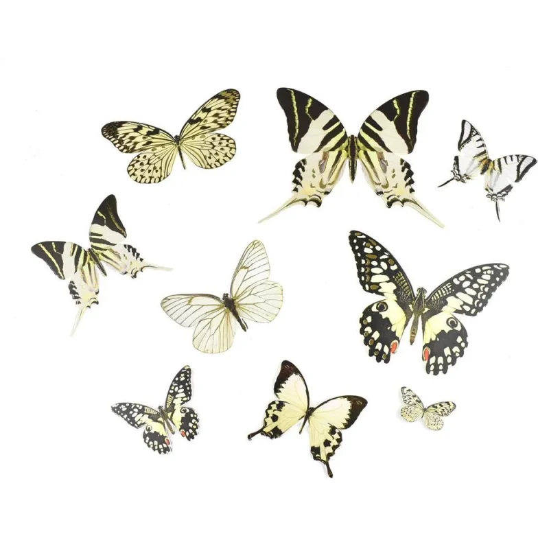 white butterfly paper craft die cuts 35 piece set