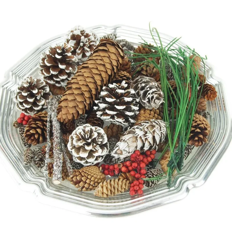 winter pine potpourri blend 6 oz botanical fragrance